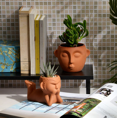 Kapalı küçük terakotta bitki küpleri leke direnci