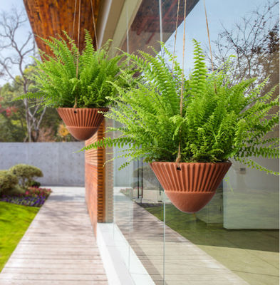 İç mekan bitkileri için asılı ekim makineleri,terrakotta asılı ekim makineleri,seramik asılı bitki kapları,asılı sepete,asılı ekim makineleri