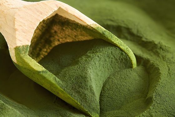 Yüksek Voltajlı Anahtar Yapımında Amino Kalıp Plastik, Ureya Formaldehit reçine kalıplama bileşiği Malezya